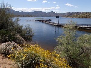 Bartlett lake: Palo Verde trail